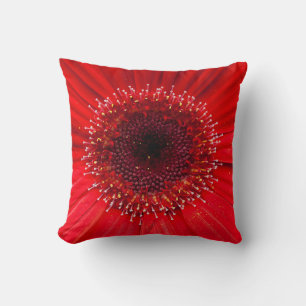 Red Daisy Cushion