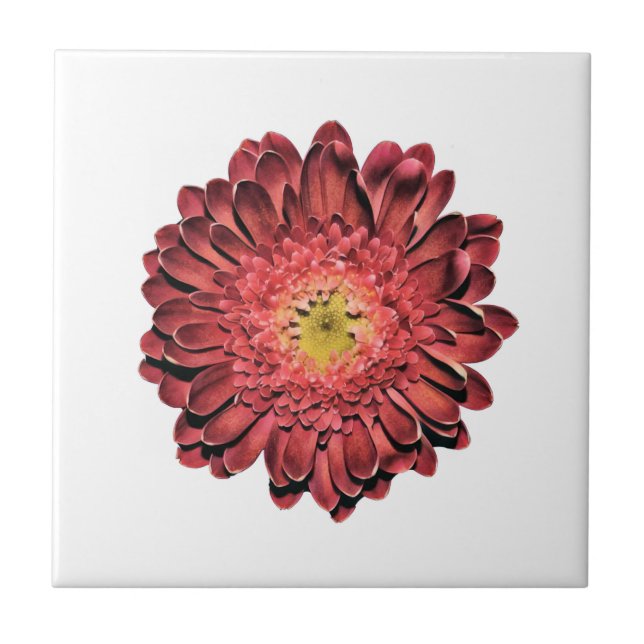 Red Daisy Flower Ceramic Tile (Front)