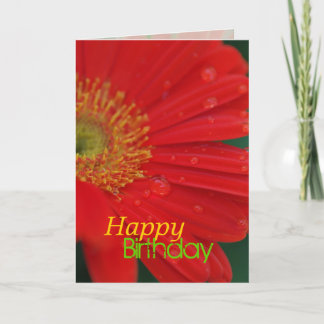 Red Daisy Happy Birthday Greeting Card