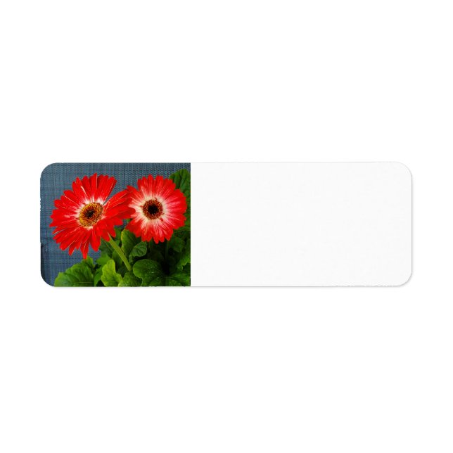 Red daisy return address label (Front)