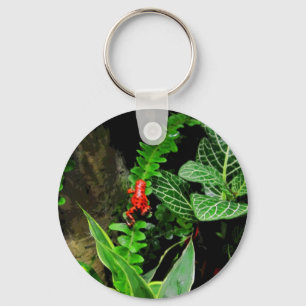 Red Dart Frog CB Key Ring