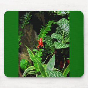 Red Dart Frog CB Mouse Pad