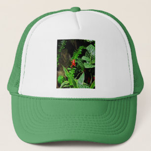 Red Dart Frog CB Trucker Hat