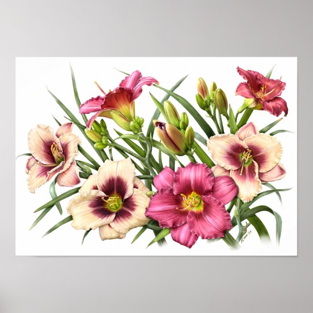 Red Daylilies Original Art Print (Front)