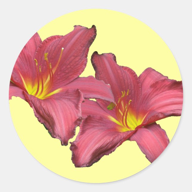 Red Daylily Coordinating Items Classic Round Sticker (Front)