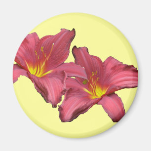 Red Daylily Coordinating Items Magnet
