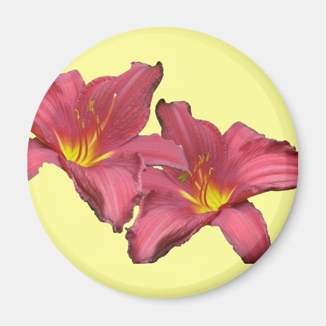 Red Daylily Coordinating Items Magnet (Front)