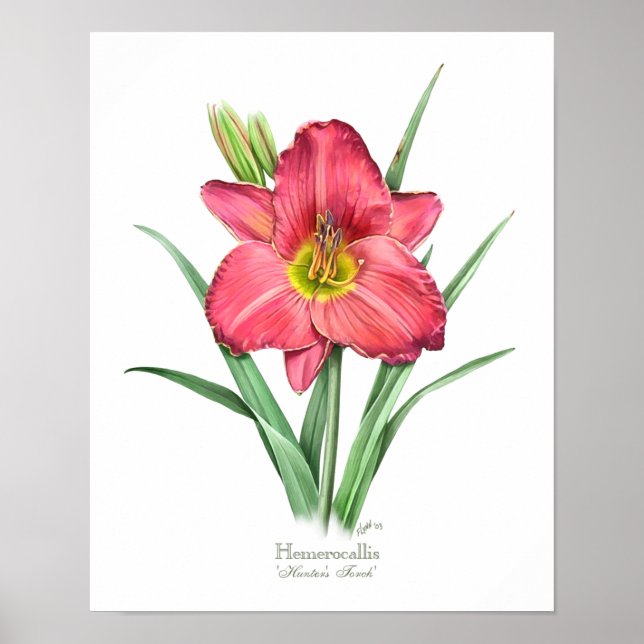 Red Daylily Original Art Print (Front)