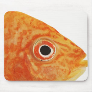 Red Deacon fish Mouse Pad