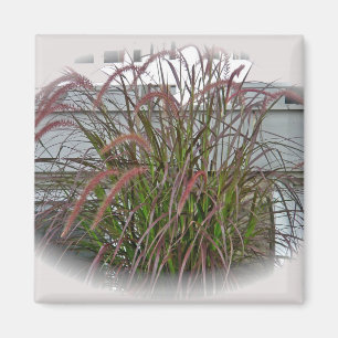 Red Decorative Grass Coordinating Items Magnet