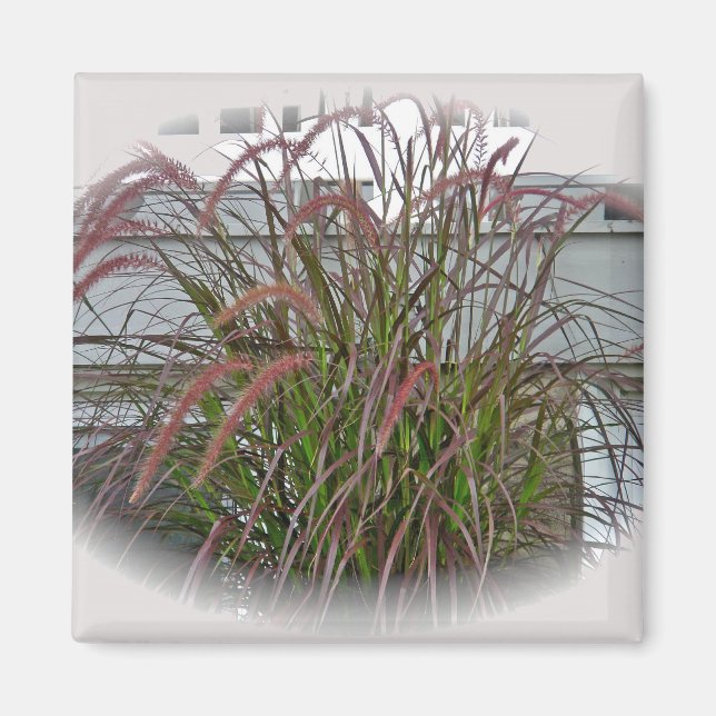 Red Decorative Grass Coordinating Items Magnet (Front)