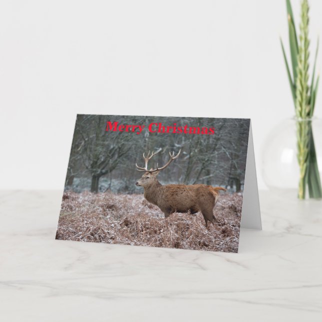 Red Deer Christmas Card (Front)