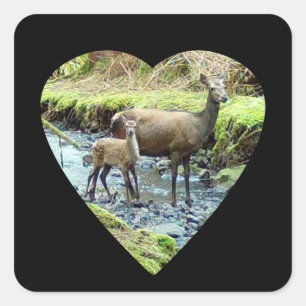 Red Deer Doe and Baby Deer Square Sticker