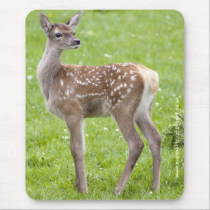 Red Deer Fawn Mousemat