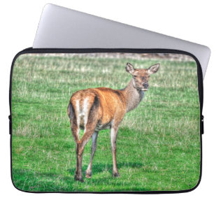 Red Deer & Field Wildlife Animal Design Laptop Sleeve