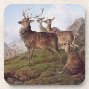 Red Deer in a Highland Landscape, 1872 (oil on can Coaster