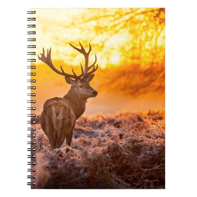 Red Deer in Morning Sun. deer,animal,wildlife,natu Notebook (Front)