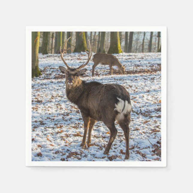 Red Deer in Snow Napkin (Front)