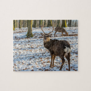 Red Deer in the Snow Jigsaw Puzzle