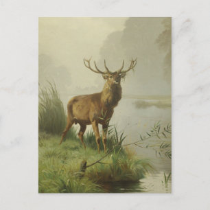 Red Deer painting Postcard