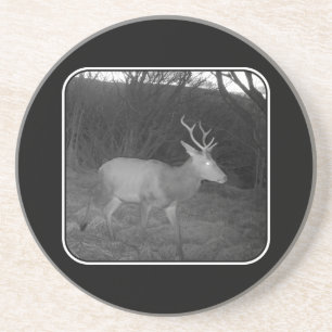 Red Deer Stag at Dusk Sandstone Coaster