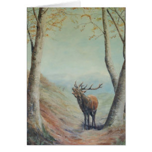 Red deer stag bellowing in a highland glen.