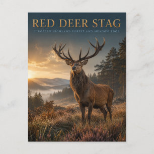 Red Deer Stag Highland Meadow ANIMALS Postcard