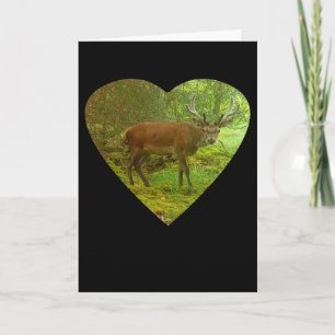 Red Deer Stag in Heart Greetings Card Add Text
