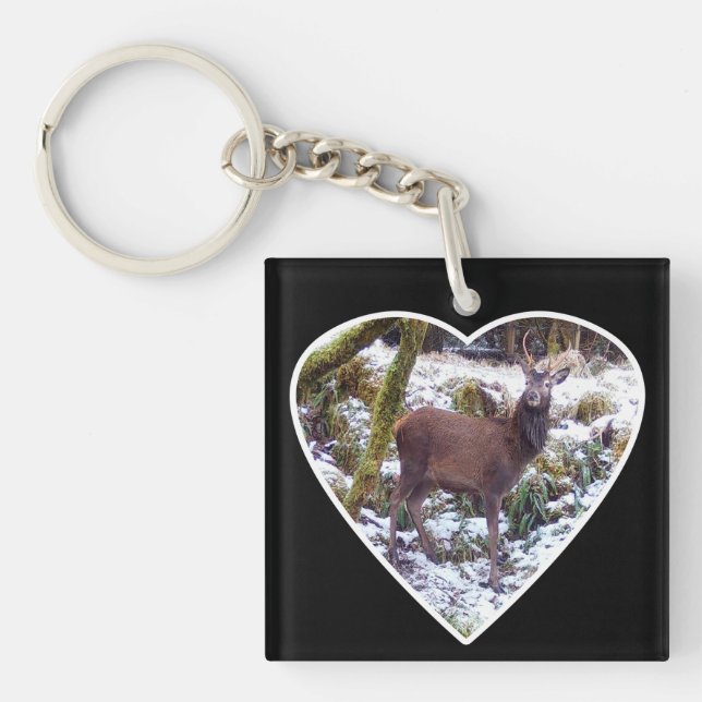 Red Deer Stag in the Snow  Key Ring (Front)