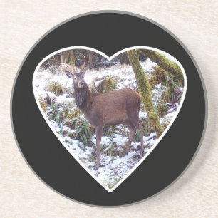 Red Deer Stag in the Snow Sandstone Coaster