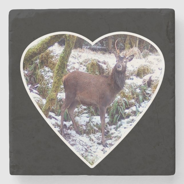 Red Deer Stag in the Snow Stone Coaster (Front)
