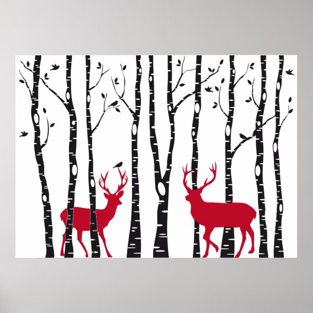 Red deers in birch tree forest poster (Front)