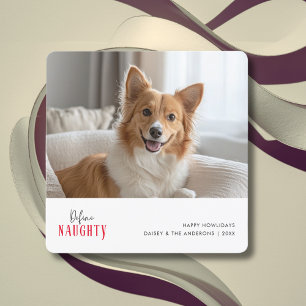 Red Define Naughty Funny Dog Christmas Pet Photo Holiday Card