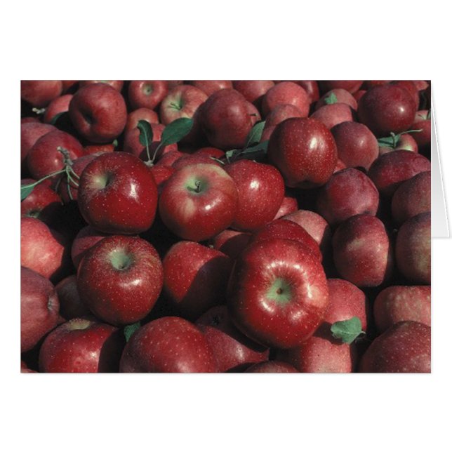 Red Delicious Apple Crop (Front Horizontal)