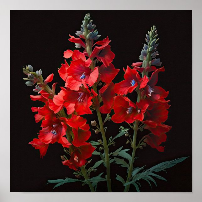 Red Delphinium Flower Art Print Poster (Front)