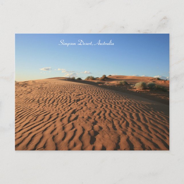 Red Desert Sand  - Postcard (Front)