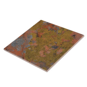 red desert stone lovers ceramic tile