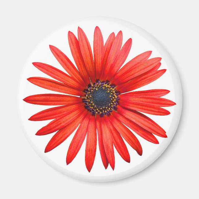 Red Devil Magnet (Front)