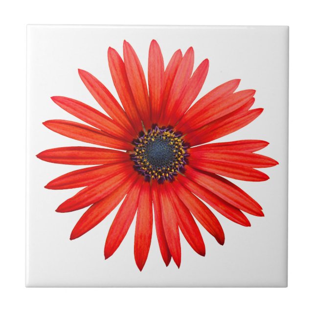 Red Devil Tile (Front)