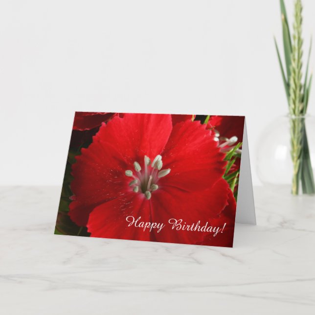 Red Dianthus Happy Birthday Greeting Card (Front)