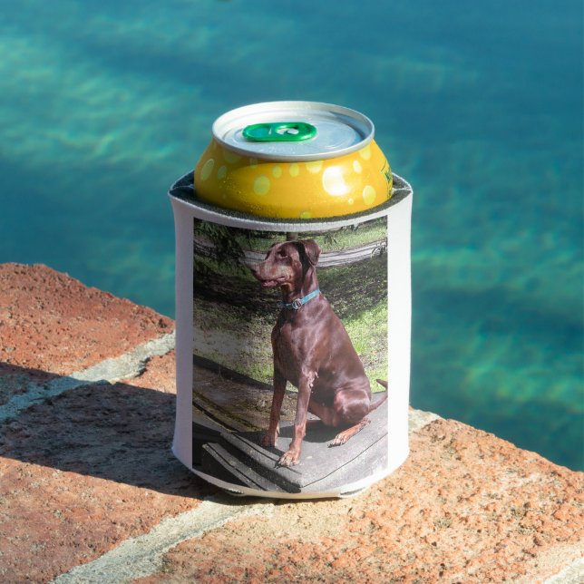 red doberman can cooler (In Situ Pool)