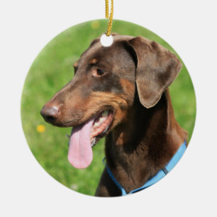 Red doberman ceramic ornament