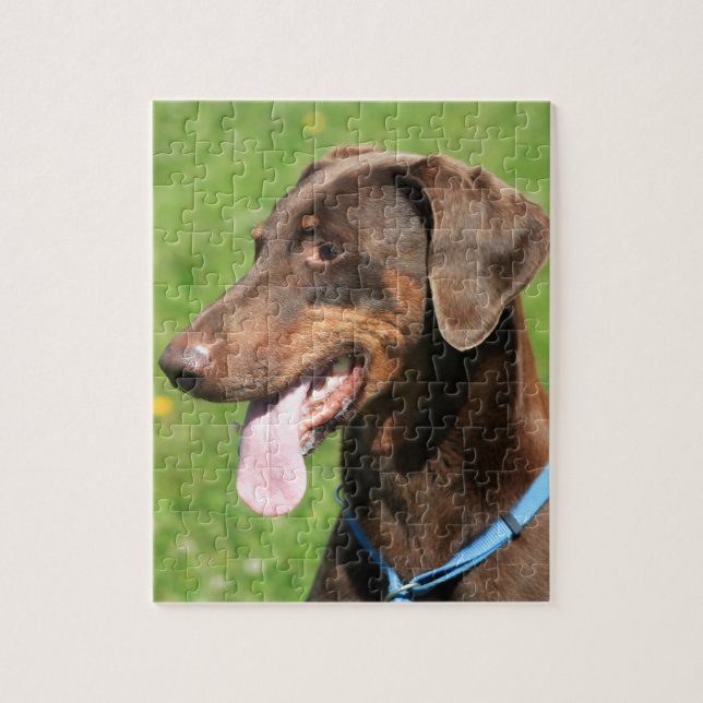 Red doberman jigsaw puzzle (Vertical)