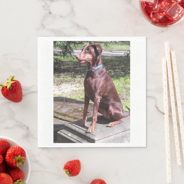 red doberman napkin (Insitu)