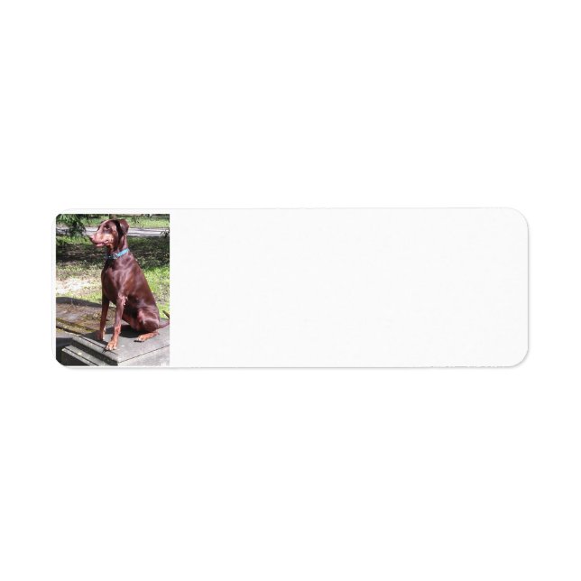 red doberman return address label (Front)