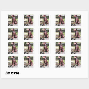 red doberman square sticker