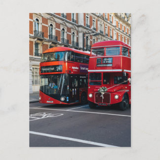 Red Double Decker Buses Postcard
