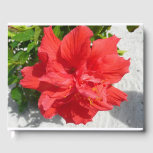 Red Double Hibiscus Flower Guest Book