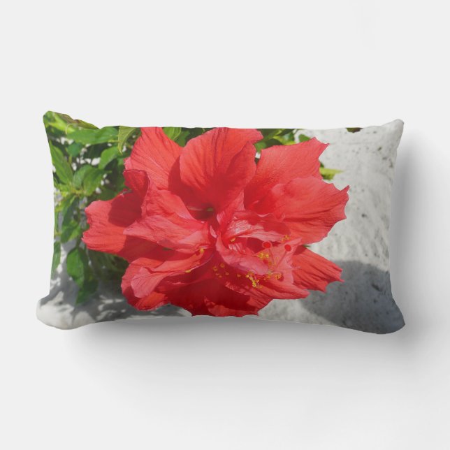 Red Double Hibiscus Flower Lumbar Cushion (Front)
