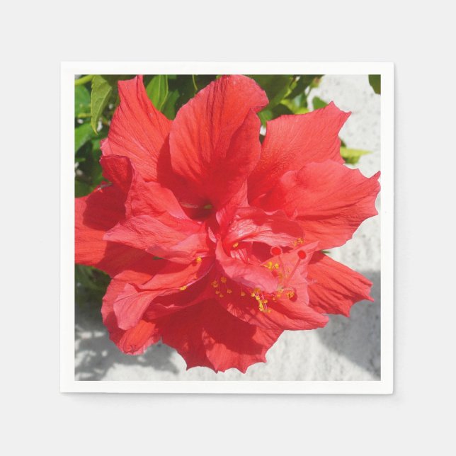 Red Double Hibiscus Flower Napkin (Front)